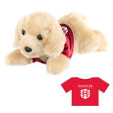 Aurora Palm Pals | Lab