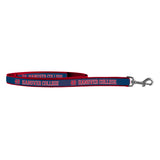 Pet Leash | Navy