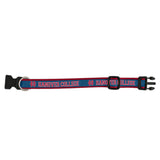 20" Wellington Pet Collar | Red/Navy