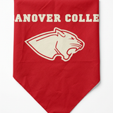 Large Triangle Pet Bandana |